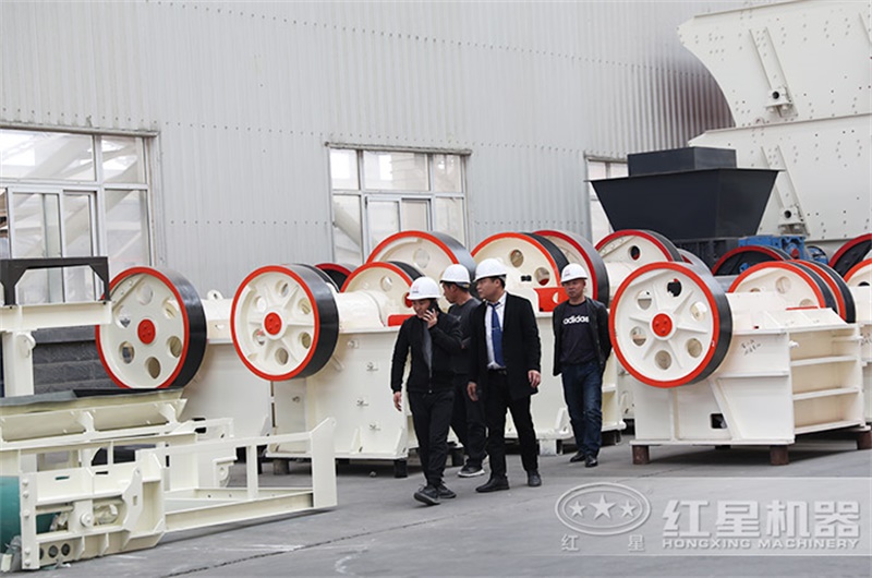 客戶考察250x1000細鄂設(shè)備